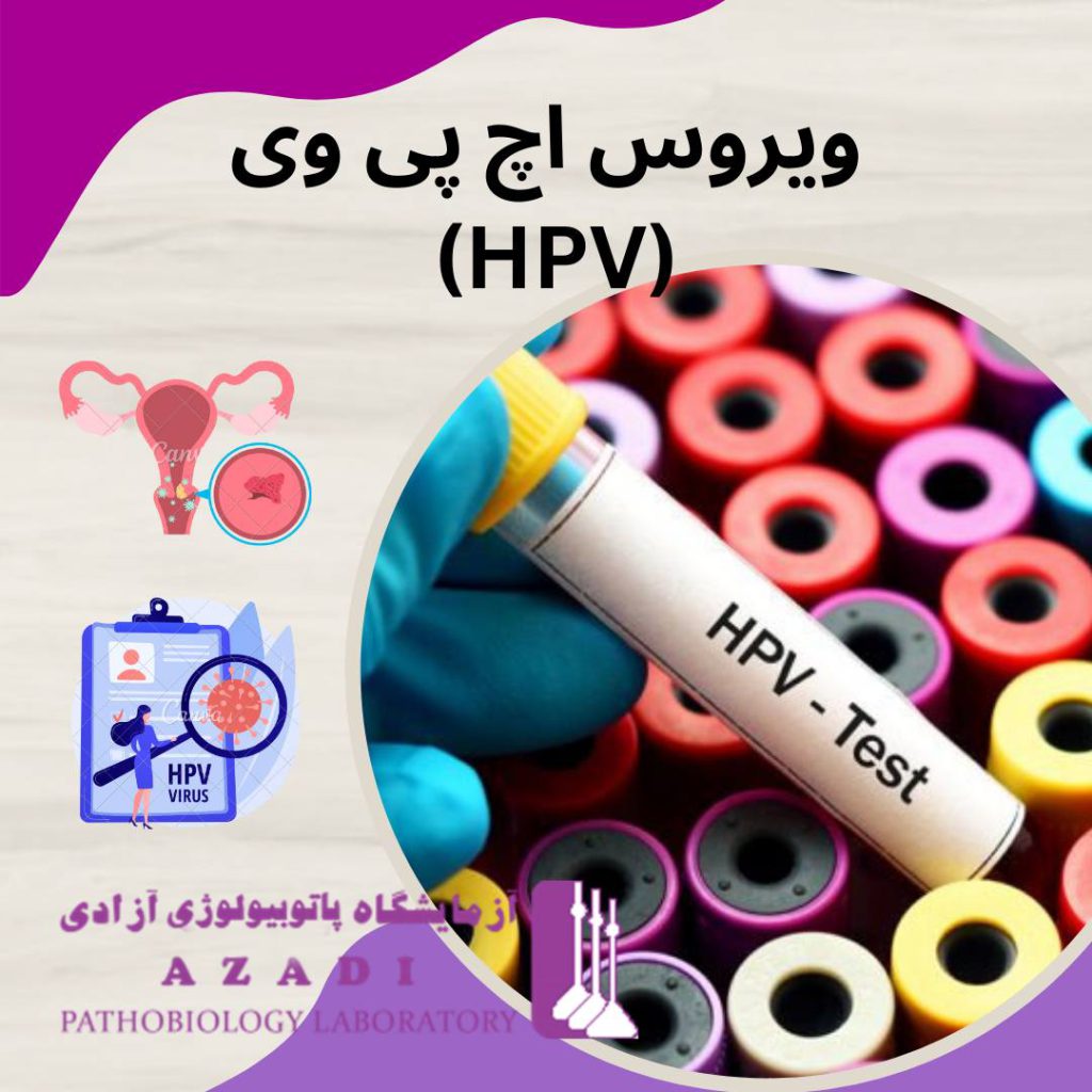 ویروس HPV (اچ پی وی ) را بیشتر بشناسیم آزمایشگاه پاتوبیولوژی آزمایشگاه آزادی آزمایشگاه ویروس HPV (اچ پی وی ) را بیشتر بشناسیم آزمایشگاه پاتوبیولوژی آزمایشگاه آزادی آزمایشگاه